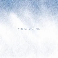 Munn — You Can Cry Now — обложка